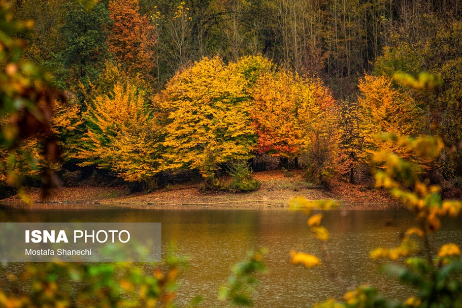 طبیعت پاییزی دریاچه سد برنجستانک سوادکوه