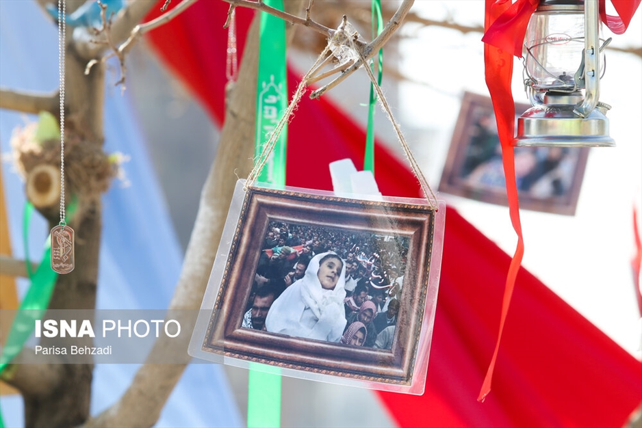 کاشت پنج هزار نهال به یاد کودکان و زنان شهید غزه