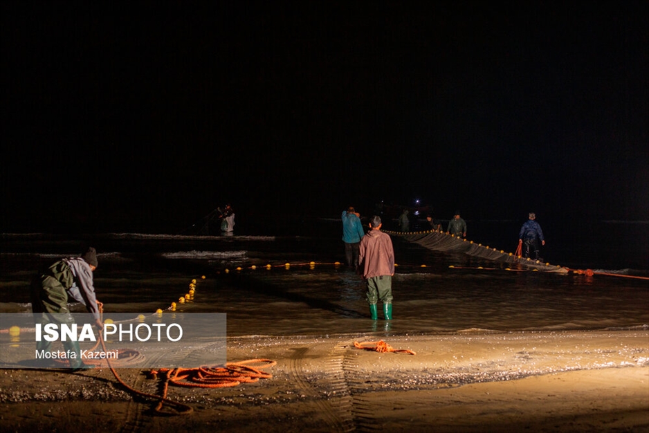 صید شبانه ماهی