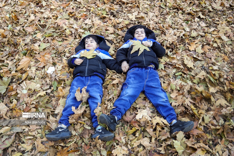 جشنواره برگریزان هگمتانه