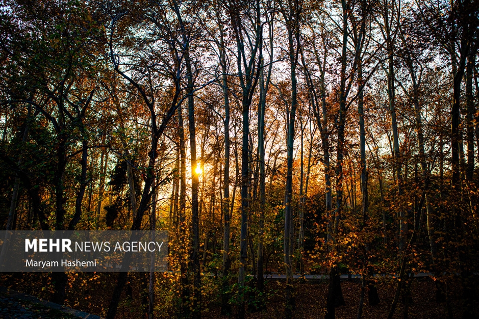 طبیعت پاییزی تهران