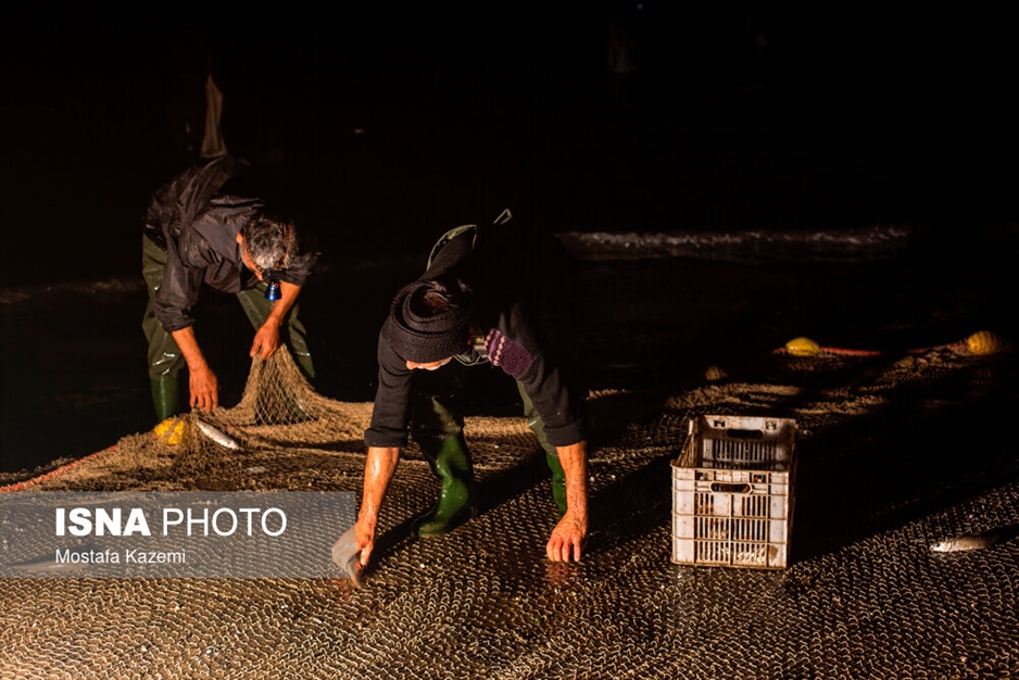 صید شبانه ماهی