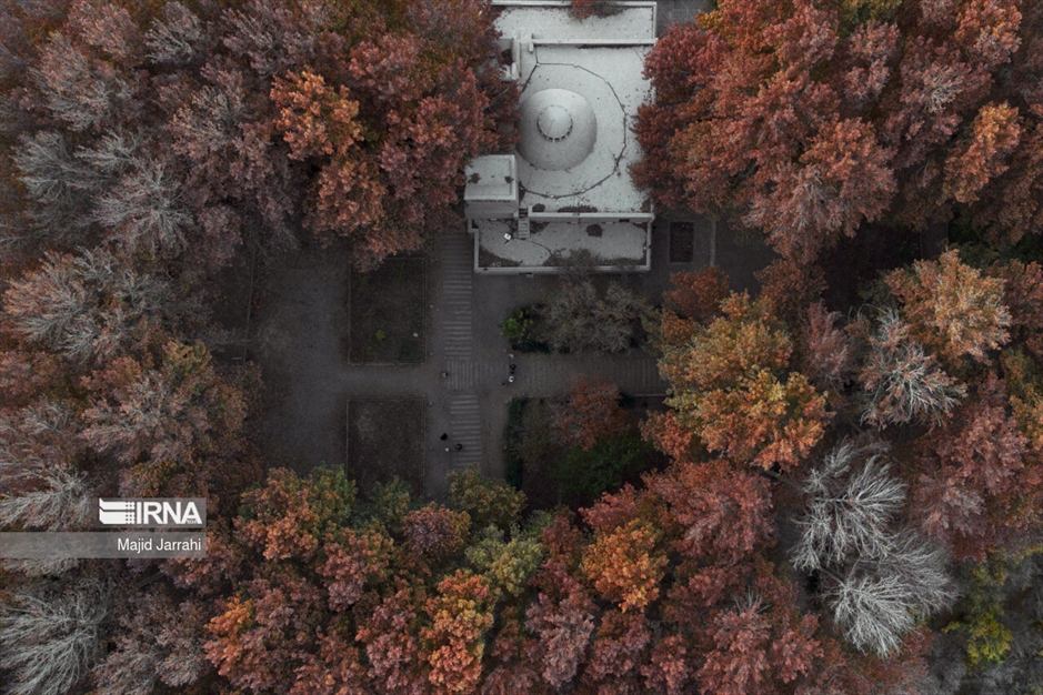 پاییز باغ پهلوان پور