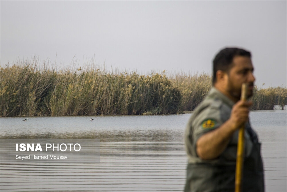 نگهبانان تالاب