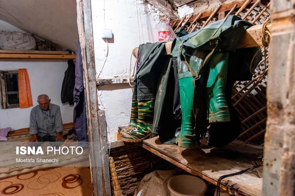 صید شبانه ماهی