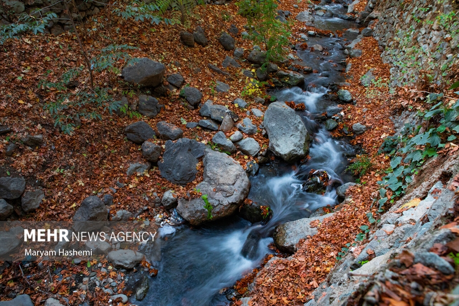 طبیعت پاییزی تهران