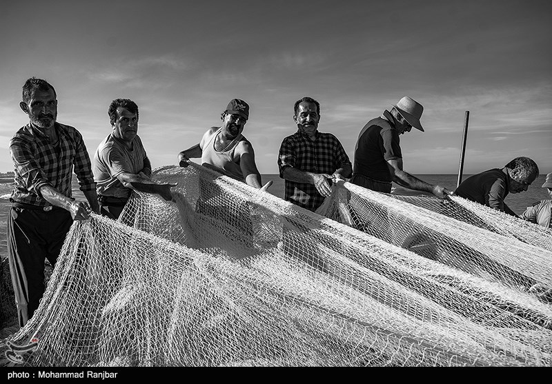 پره گیری صیادان انزلی