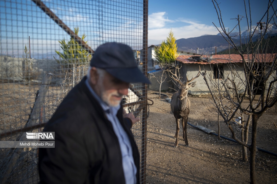 مَرال در خانه
