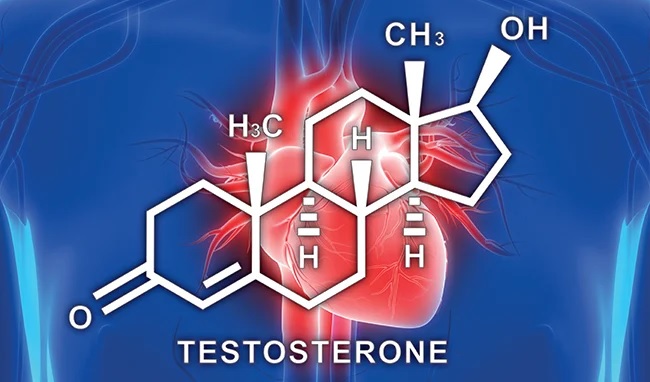 تستوسترون و سلامت قلب