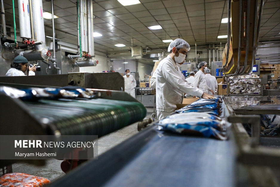 تولید لبنیات در کارخانه لبنی