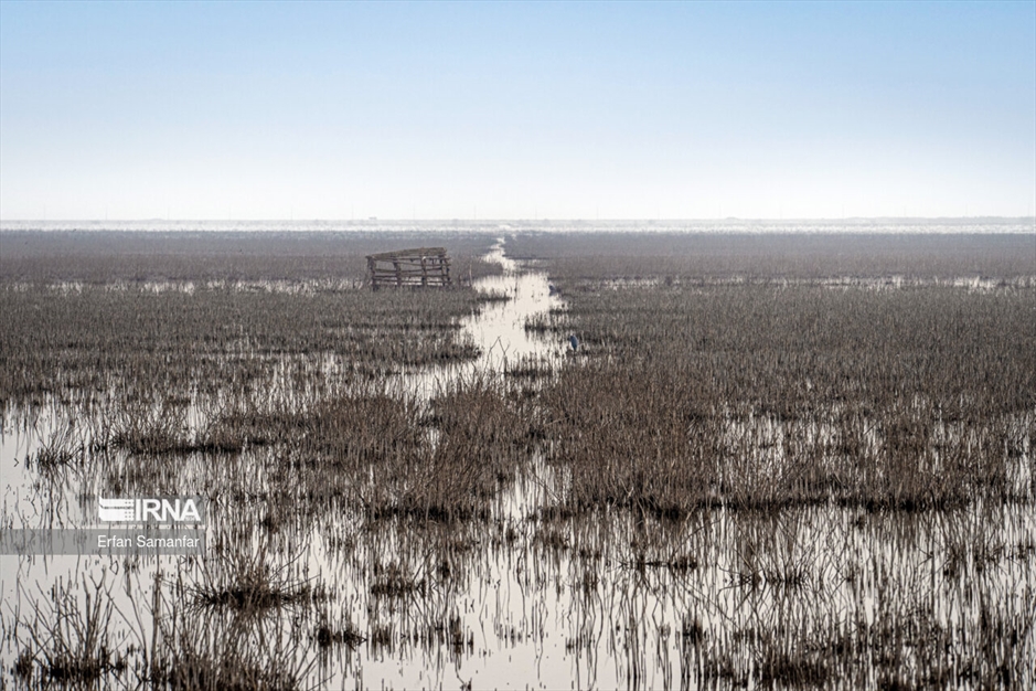 کلان‌تالاب «هورالعظیم»