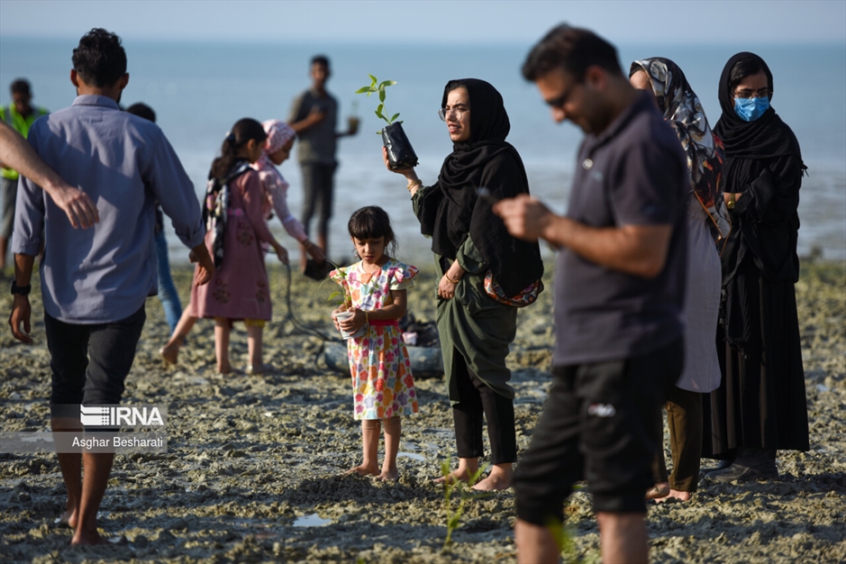 کاشت ۲ هزار نهال حَرّا در جزیره قشم