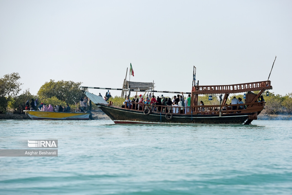 کاشت ۲ هزار نهال حَرّا در جزیره قشم