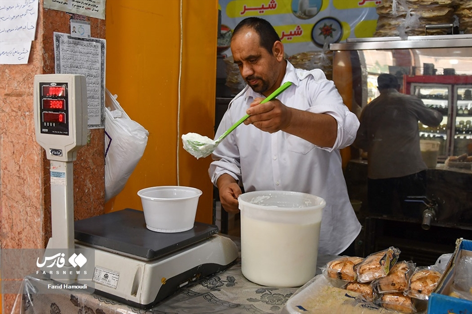 پرورش گاومیش در «خوزستان»