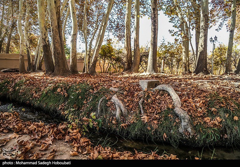 طبیعت باغ پهلوان پور- مهریز