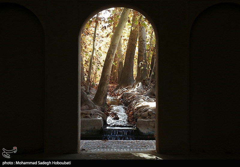 طبیعت باغ پهلوان پور- مهریز