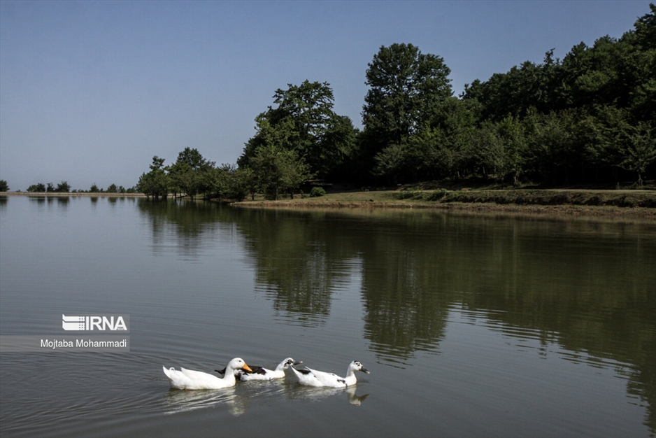رشت؛ شهر همیشه‌بیدار