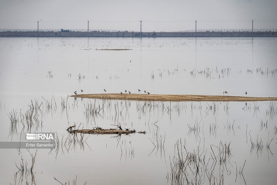 کلان‌تالاب «هورالعظیم»
