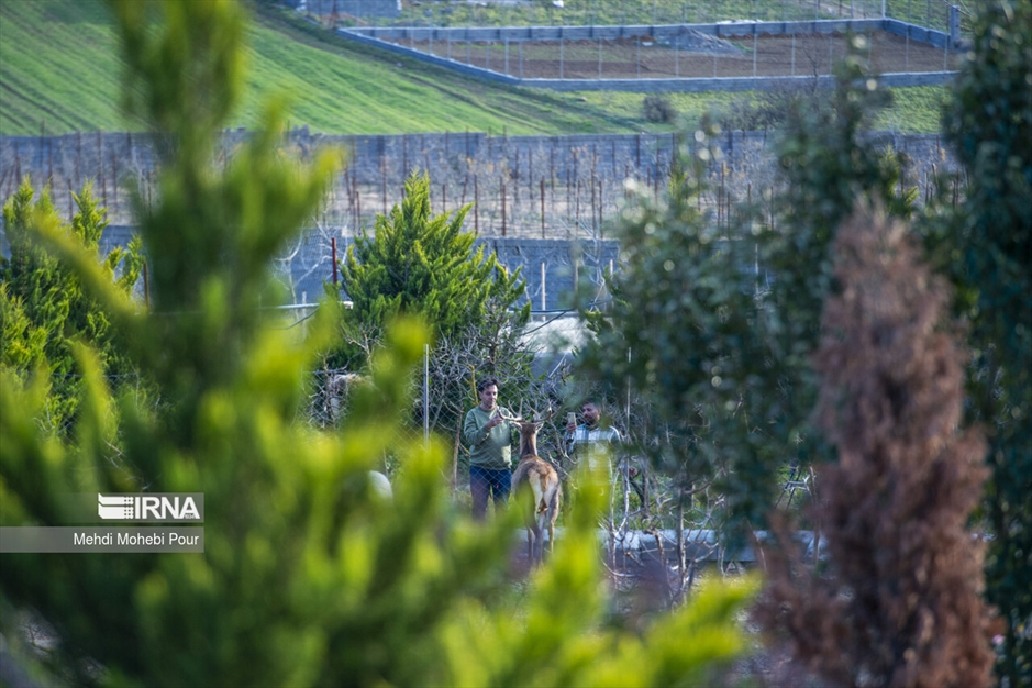 مَرال در خانه