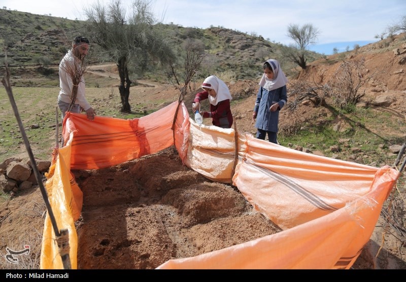 روایتی از عشق یک معلم به دانش آموزانش