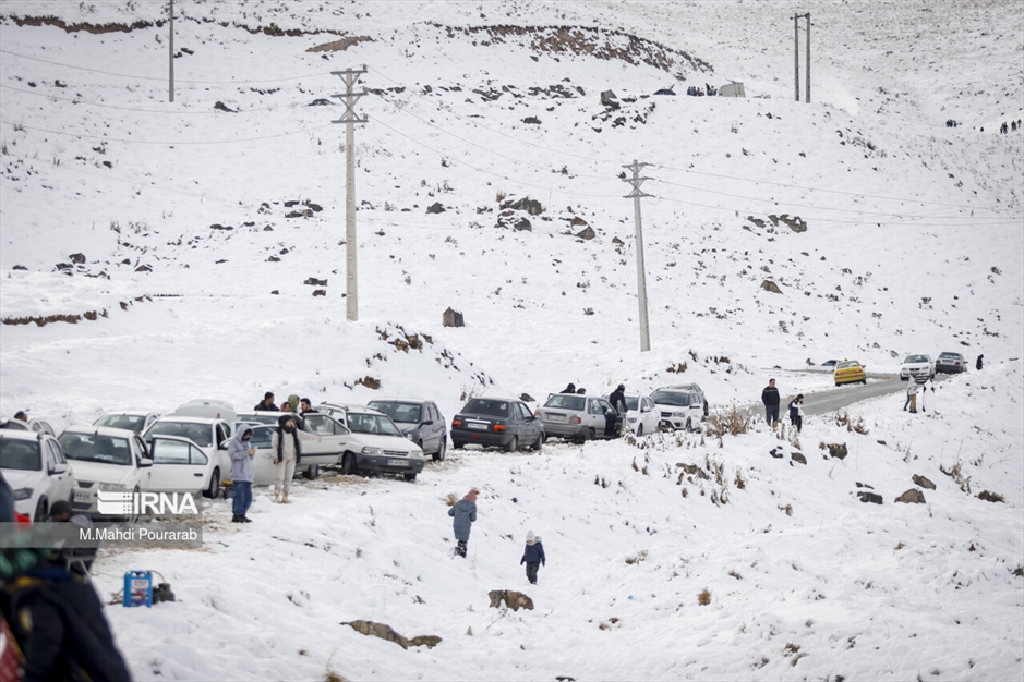 بارش برف در جاده چالوس
