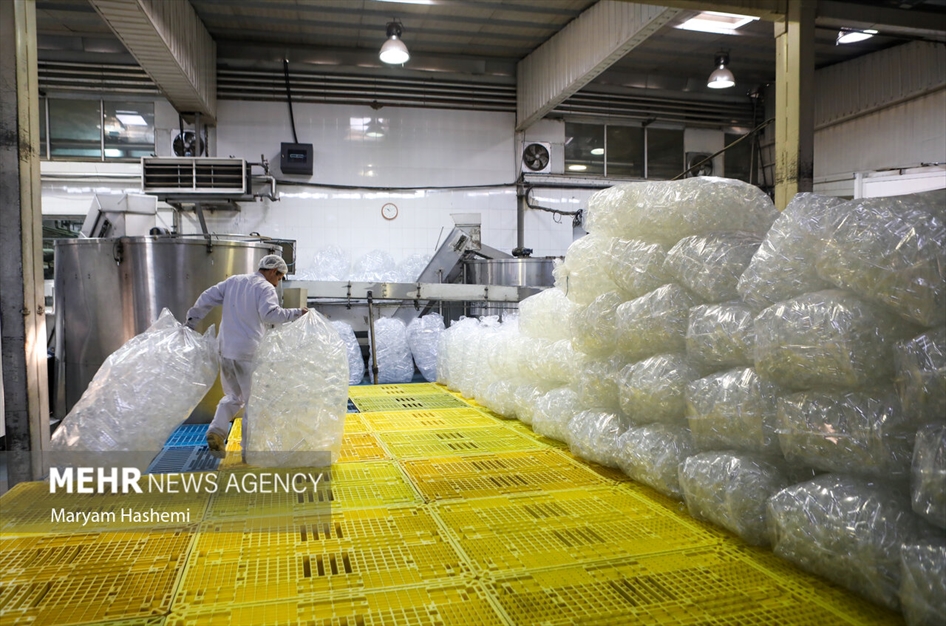 تولید لبنیات در کارخانه لبنی