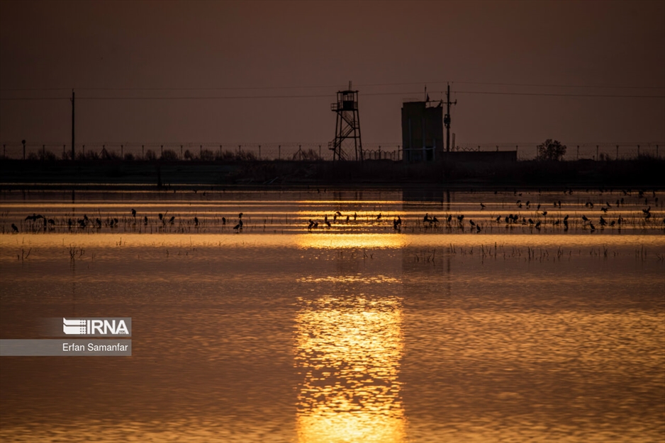 کلان‌تالاب «هورالعظیم»