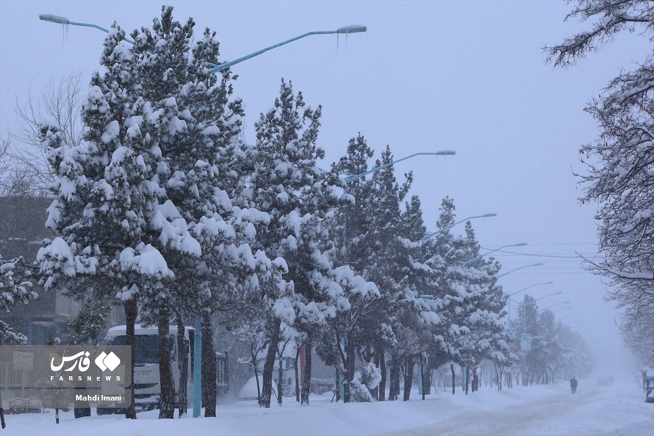 اَهَر زیر برف