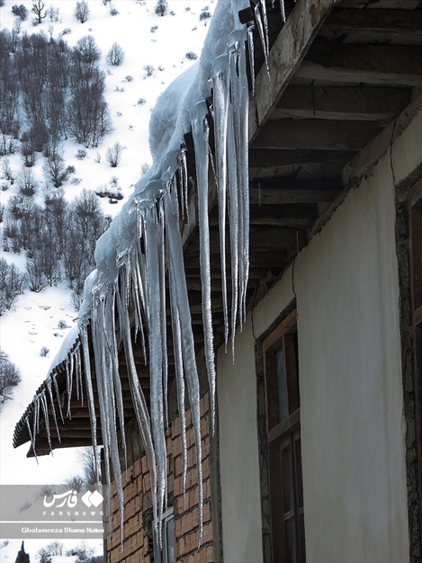 «یخ لوله» یا قندیل