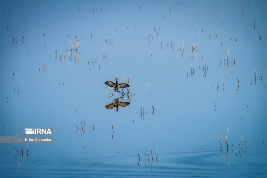 کلان‌تالاب «هورالعظیم»