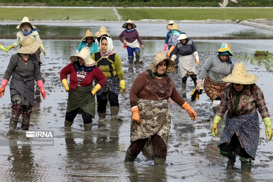 رشت؛ شهر همیشه‌بیدار