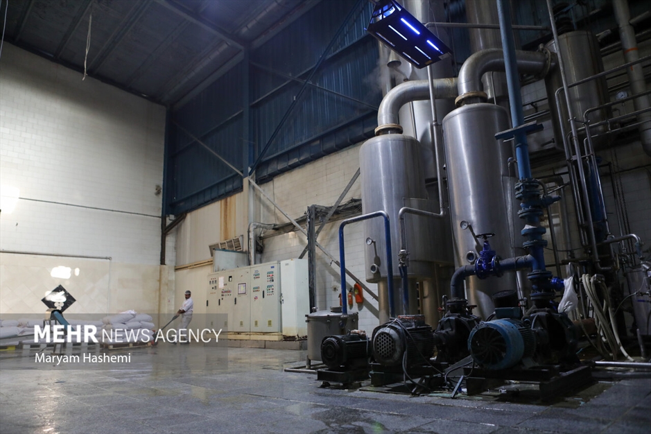 تولید لبنیات در کارخانه لبنی