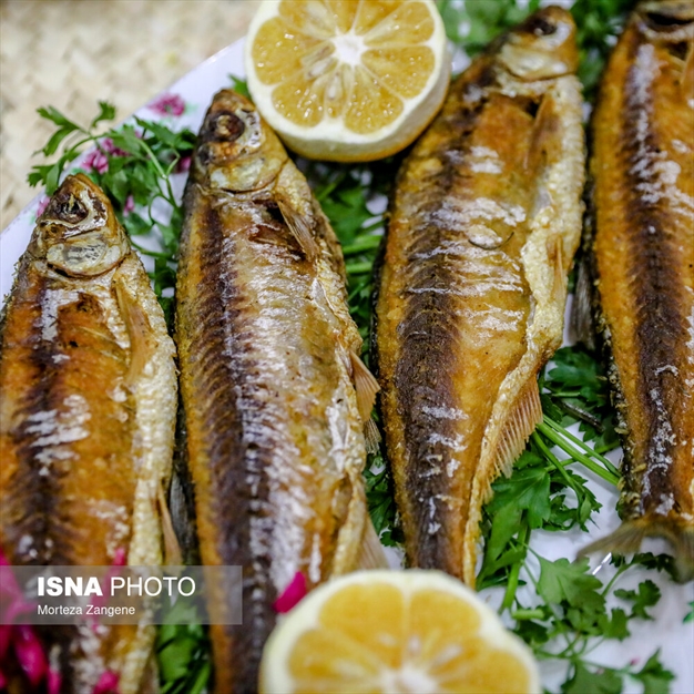 رشت؛ شهر خلاق غذا