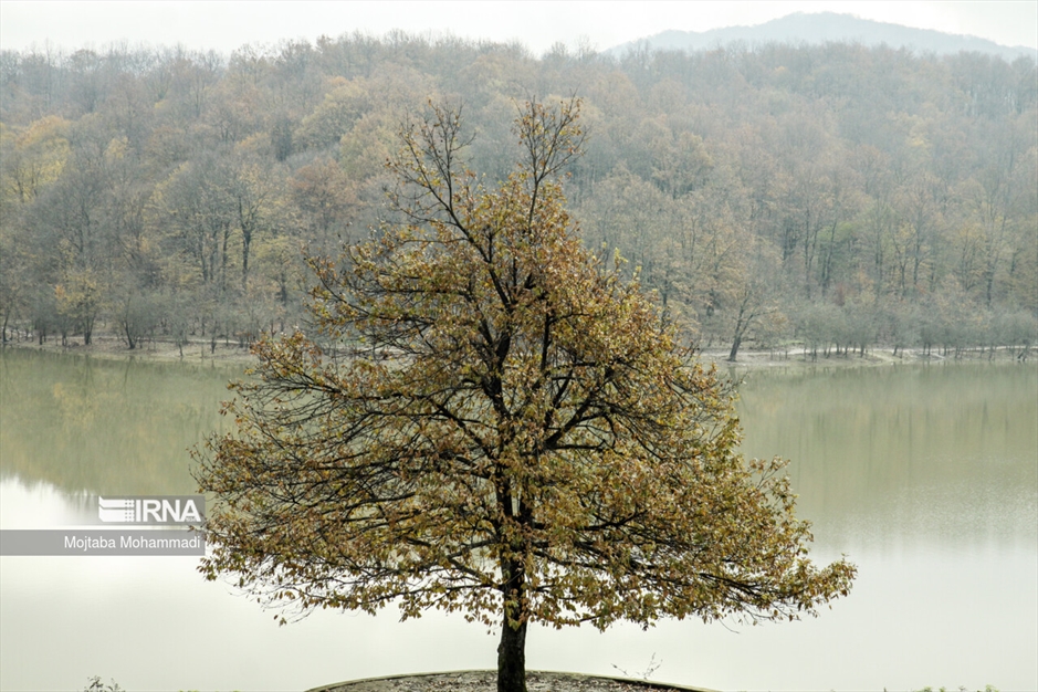 رشت؛ شهر همیشه‌بیدار