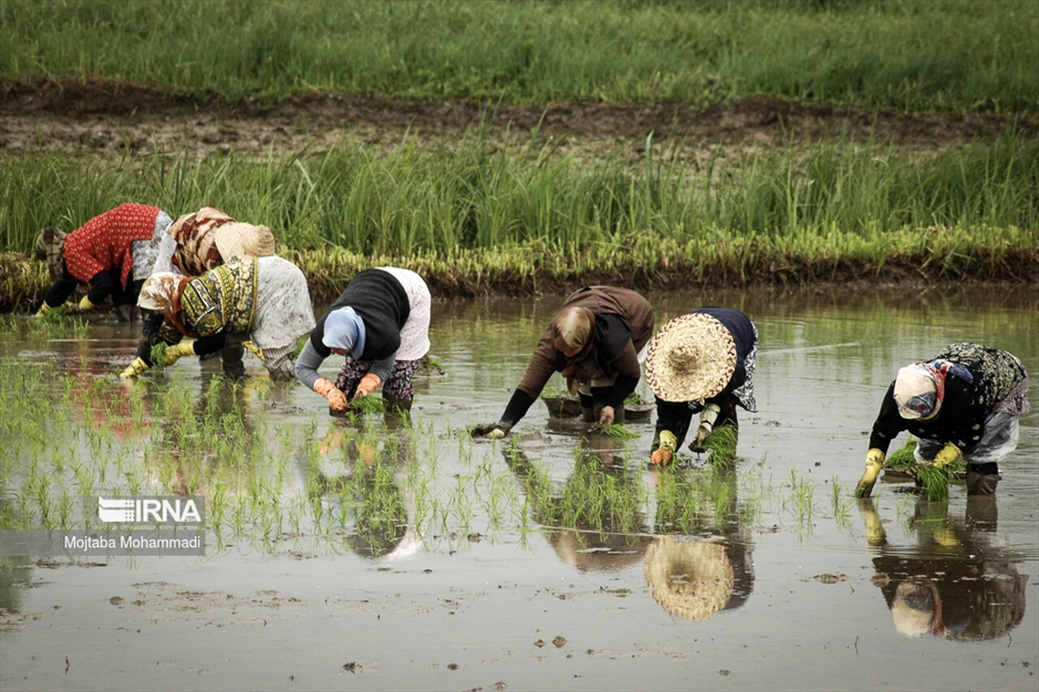 رشت؛ شهر همیشه‌بیدار