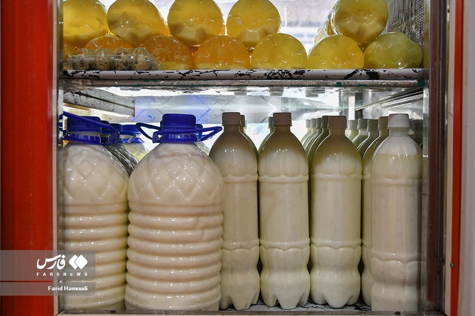 پرورش گاومیش در «خوزستان»