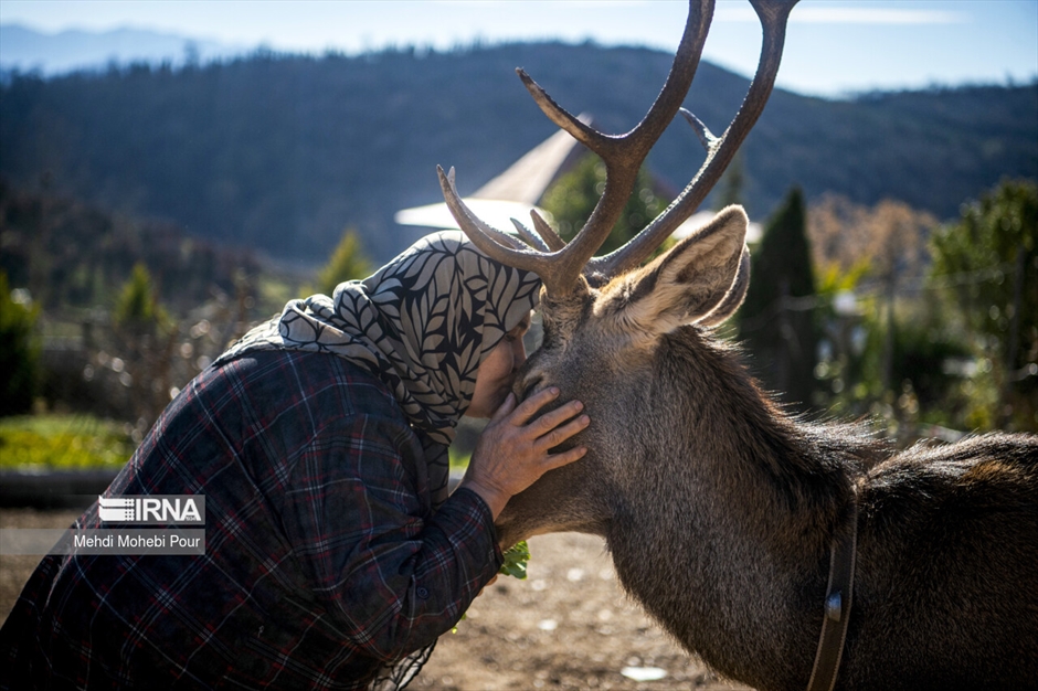 مَرال در خانه