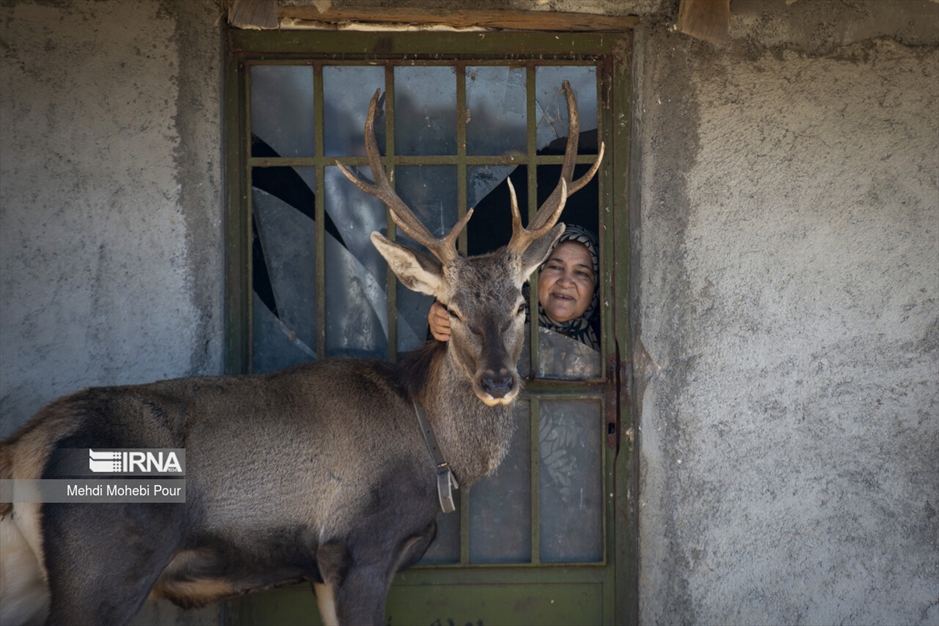 مَرال در خانه