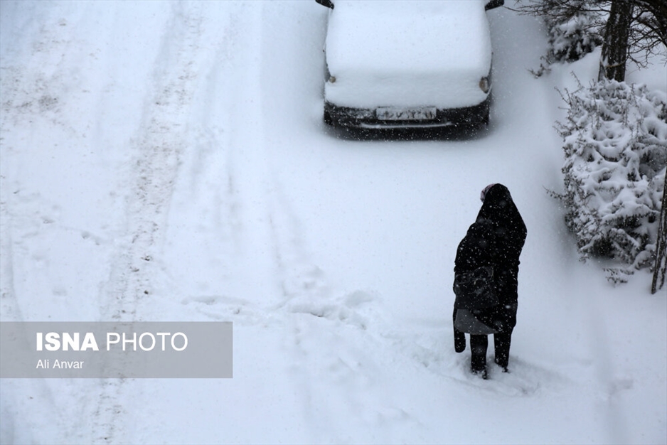 بارش سنگین برف در اردبیل