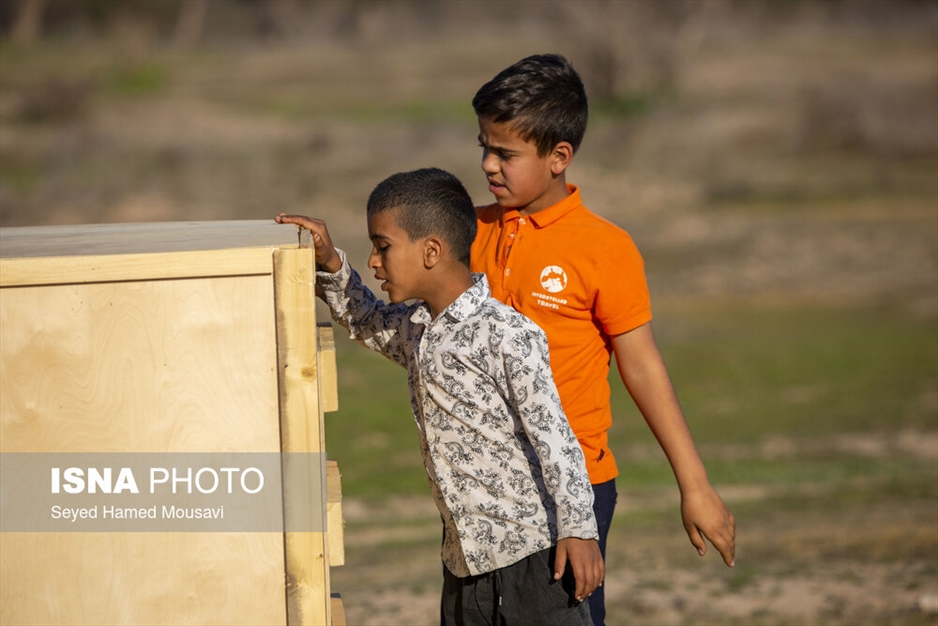 رهاسازی ۱۰ راس گوزن زرد ایرانی در پارک ملی دز