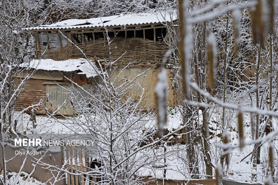 زمستان برفی روستای تاریخی و گردشگری زیارت گرگان
