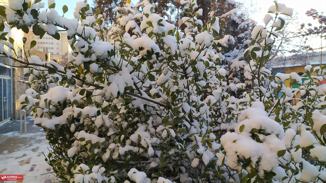اولین برف زمستانی در همدان