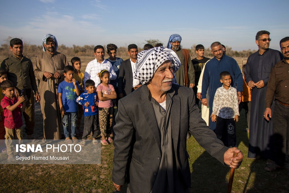 رهاسازی ۱۰ راس گوزن زرد ایرانی در پارک ملی دز