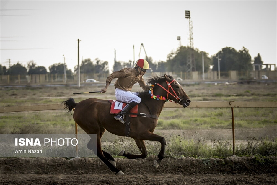 هفته اول مسابقات کورس اسبدوانی کشور در اهواز