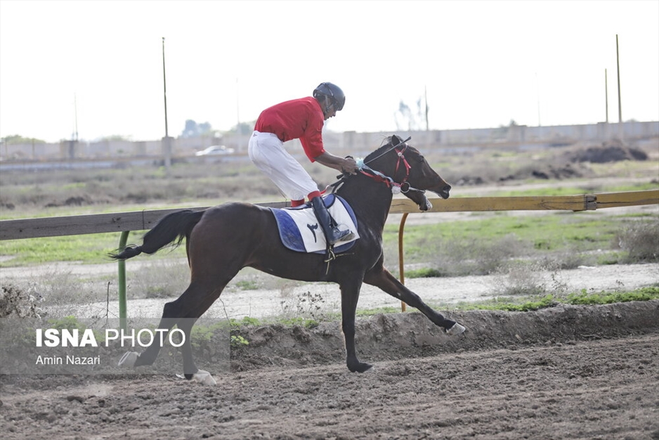 هفته اول مسابقات کورس اسبدوانی کشور در اهواز