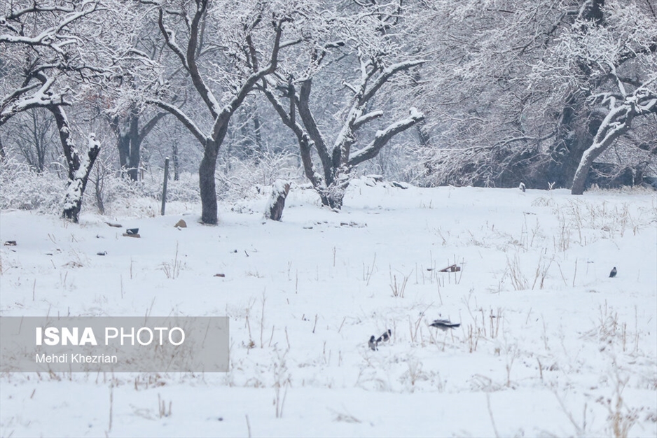 بارش شدید برف در همدان