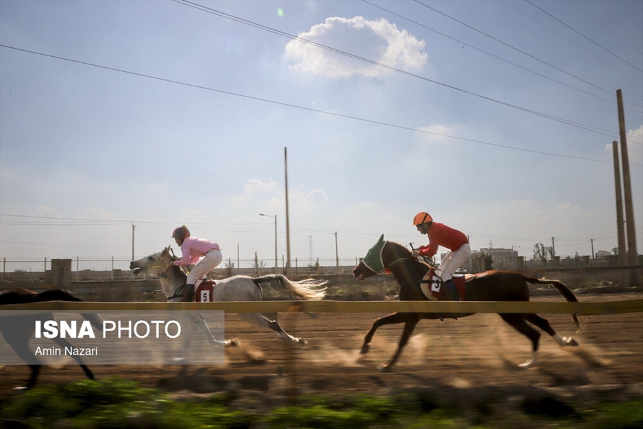هفته اول مسابقات کورس اسبدوانی کشور در اهواز