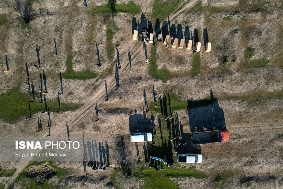 رهاسازی ۱۰ راس گوزن زرد ایرانی در پارک ملی دز