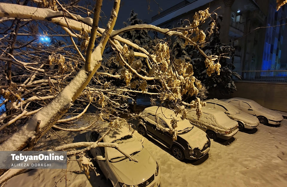 تصاویری از بارش برف جمعه در تهران 