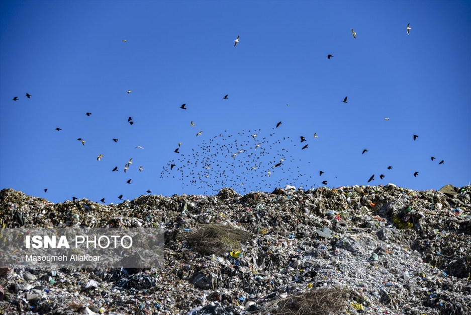 سایت دفع پسماند حلقه دره